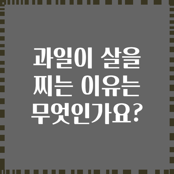 과일이 살을 찌는 이유는 무엇인가요?