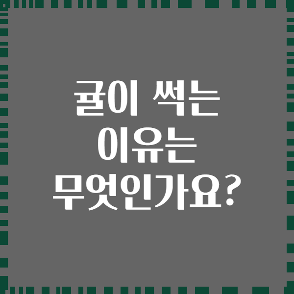 귤이 썩는 이유는 무엇인가요?