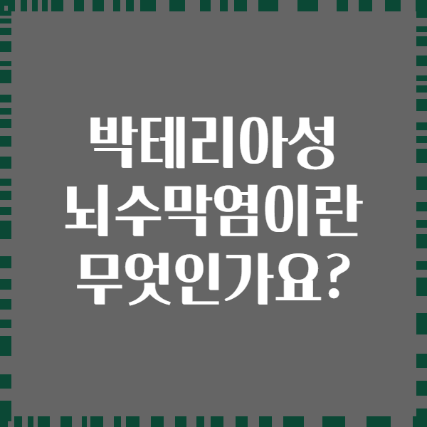 박테리아성 뇌수막염이란 무엇인가요?
