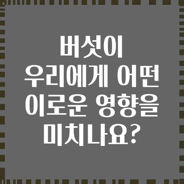 버섯이 우리에게 어떤 이로운 영향을 미치나요?