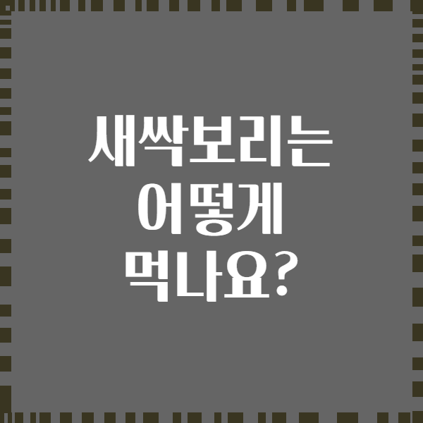새싹보리는 어떻게 먹나요?