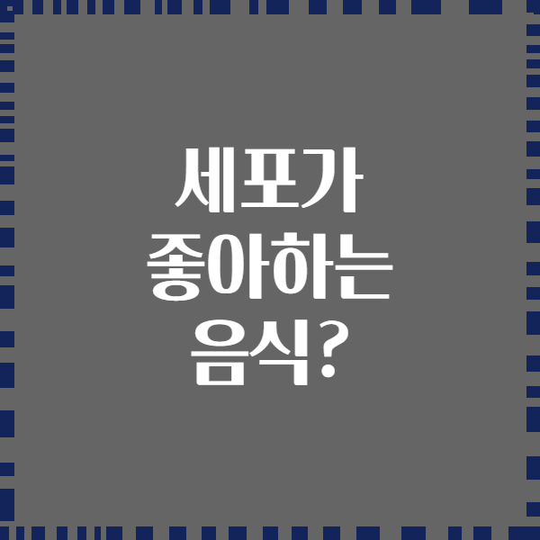 세포가 좋아하는 음식?