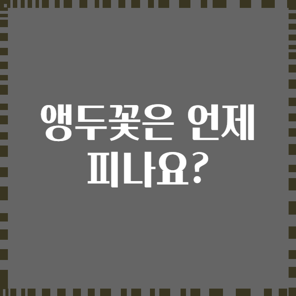 앵두꽃은 언제 피나요?