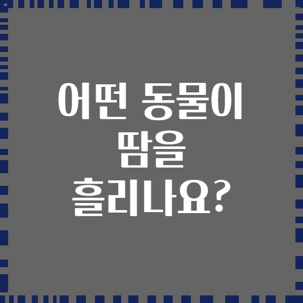 어떤 동물이 땀을 흘리나요?