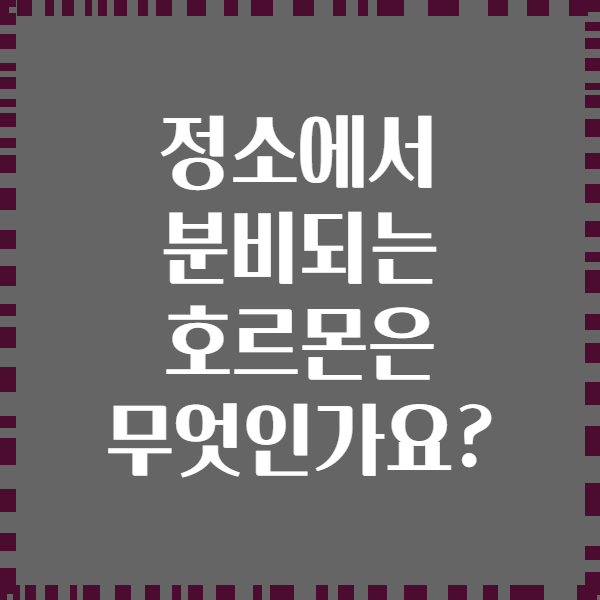 정소에서 분비되는 호르몬은 무엇인가요?