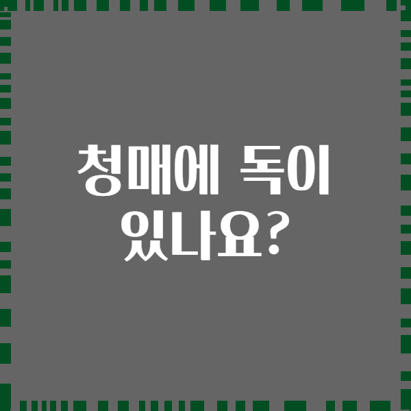 청매에 독이 있나요?