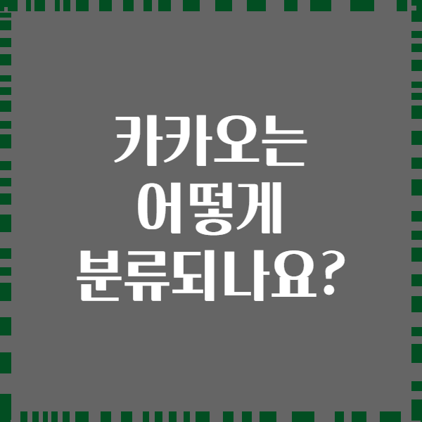카카오는 어떻게 분류되나요?
