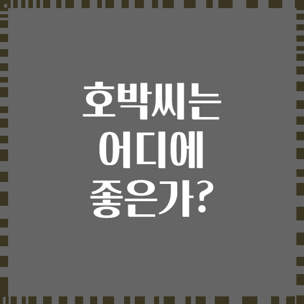 호박씨는 어디에 좋은가?