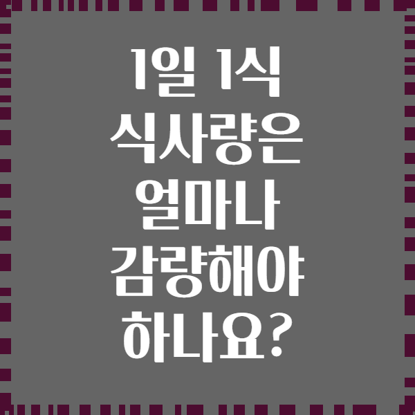 1일 1식 식사량은 얼마나 감량해야 하나요?