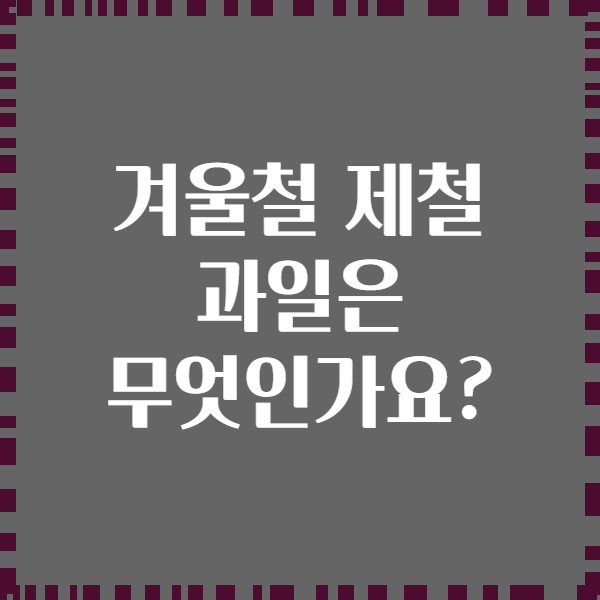 겨울철 제철 과일은 무엇인가요?