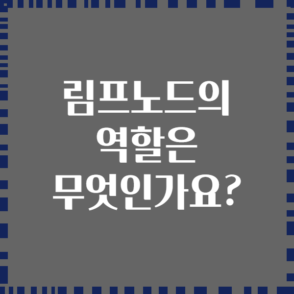 림프노드의 역할은 무엇인가요?