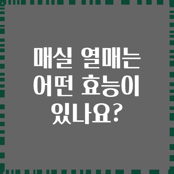 매실 열매는 어떤 효능이 있나요?