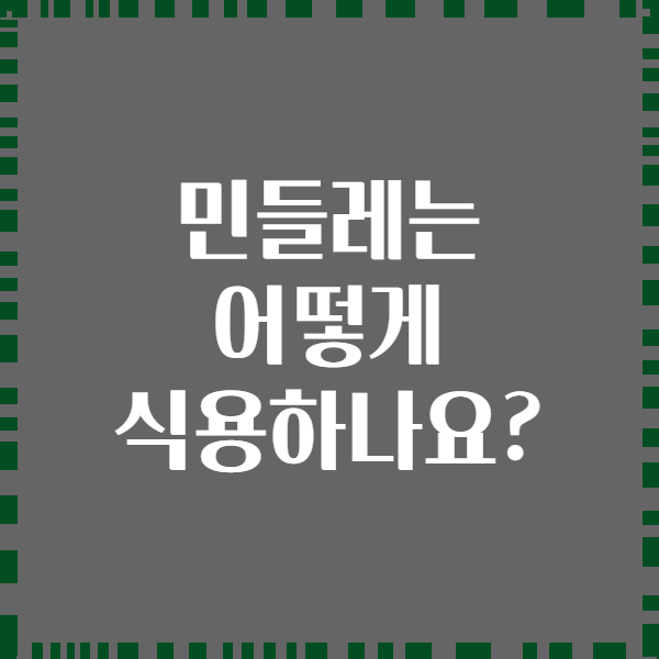 민들레는 어떻게 식용하나요?