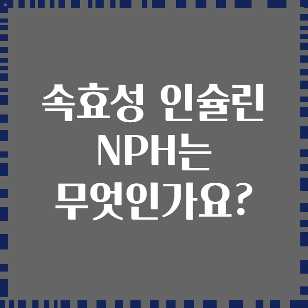 속효성 인슐린 NPH는 무엇인가요?