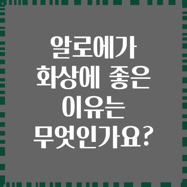 알로에가 화상에 좋은 이유는 무엇인가요?
