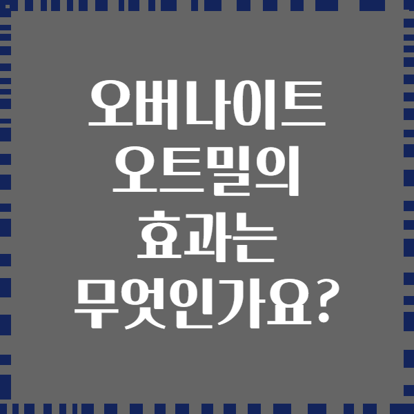 오버나이트 오트밀의 효과는 무엇인가요?