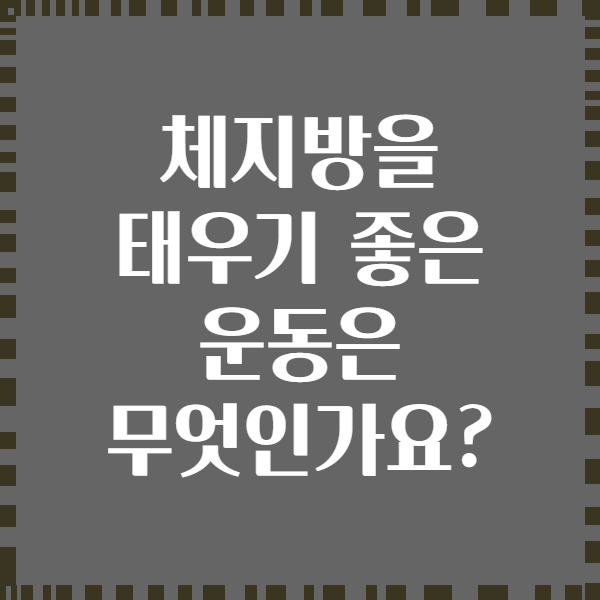 체지방을 태우기 좋은 운동은 무엇인가요?