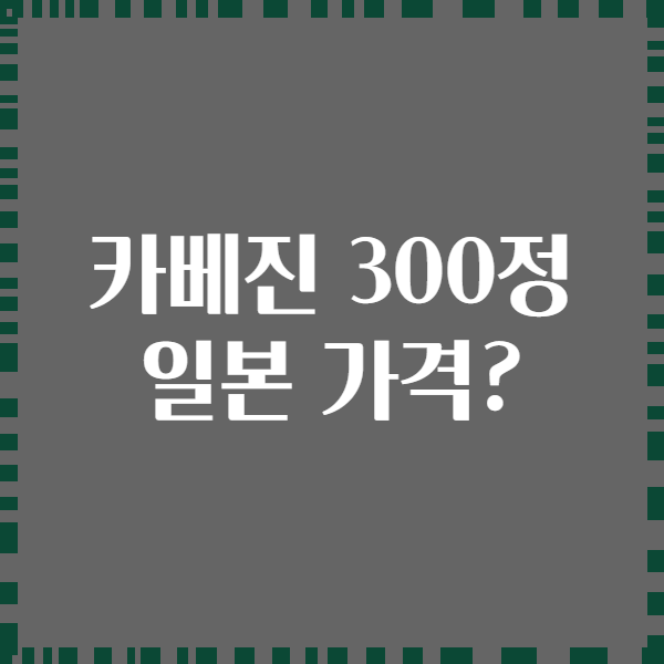 카베진 300정 일본 가격?