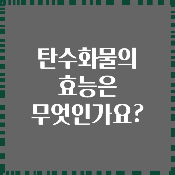 탄수화물의 효능은 무엇인가요?