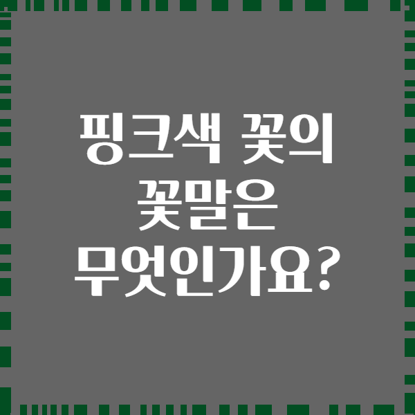 핑크색 꽃의 꽃말은 무엇인가요?