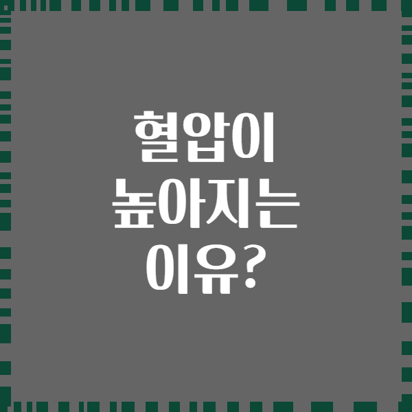 혈압이 높아지는 이유?