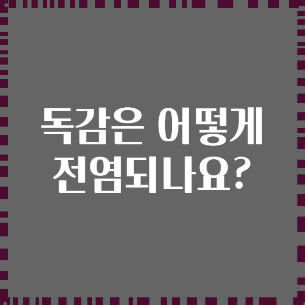 독감은 어떻게 전염되나요?