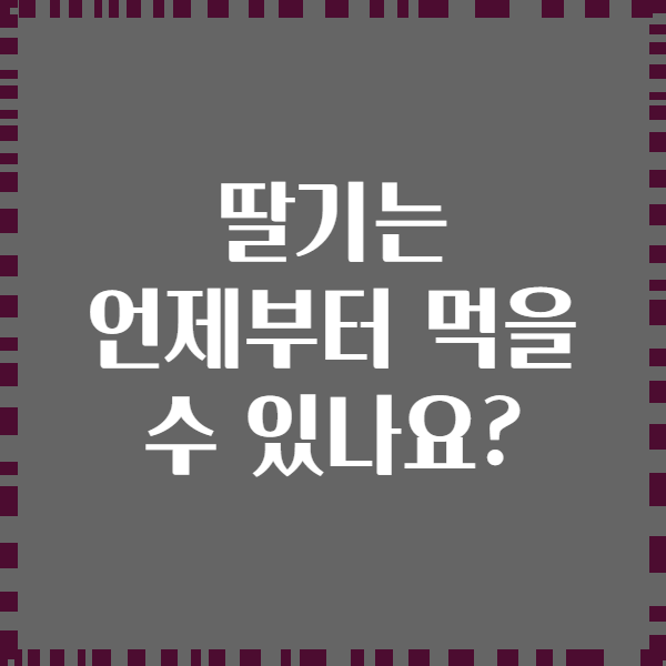 딸기는 언제부터 먹을 수 있나요?