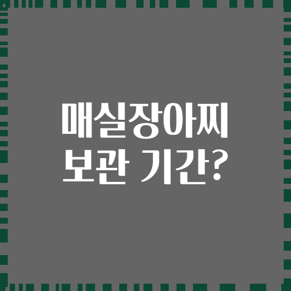 매실장아찌 보관 기간?