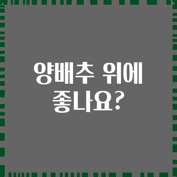 양배추 위에 좋나요?