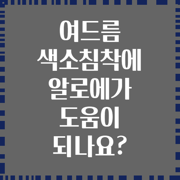 여드름 색소침착에 알로에가 도움이 되나요?