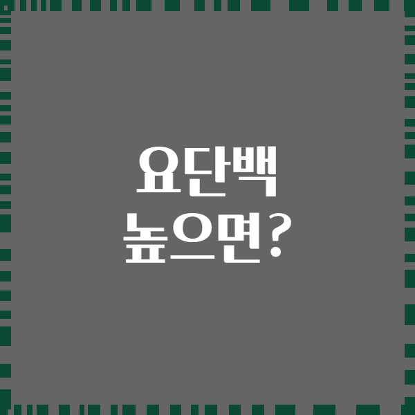 요단백 높으면?