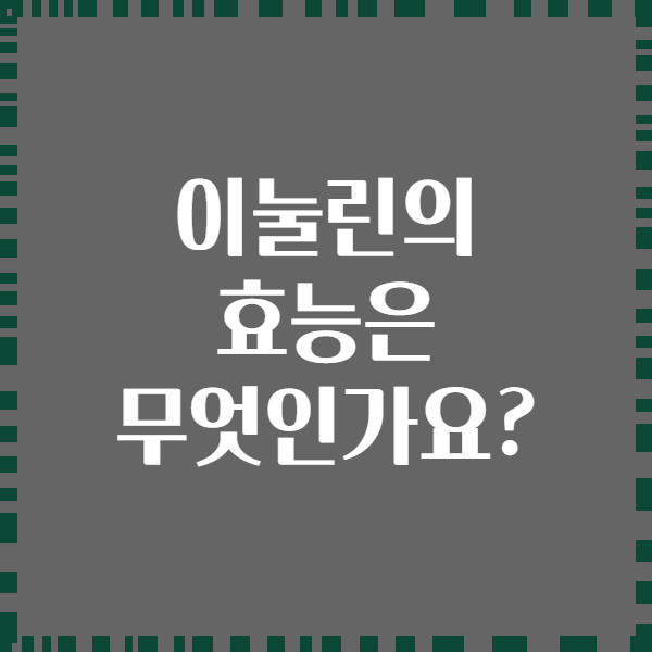 이눌린의 효능은 무엇인가요?