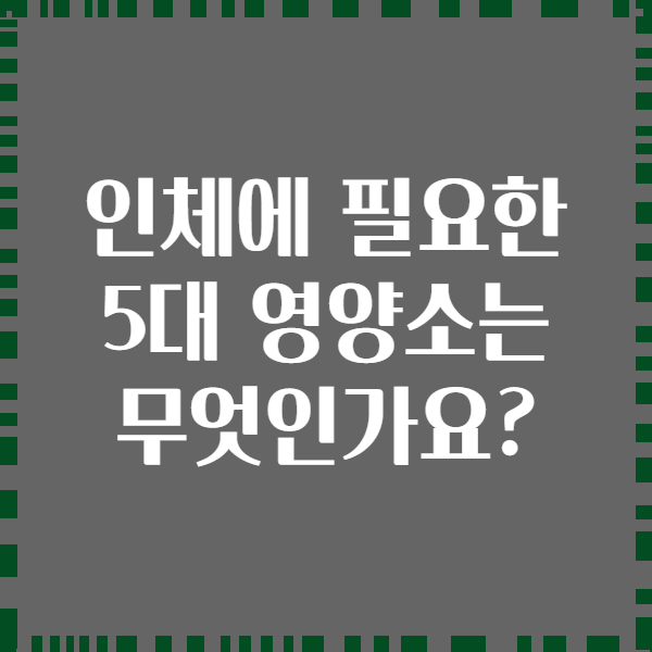 인체에 필요한 5대 영양소는 무엇인가요?