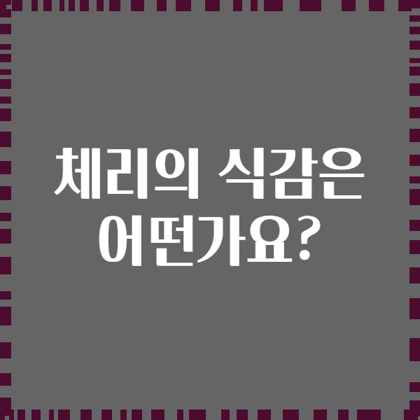 체리의 식감은 어떤가요?