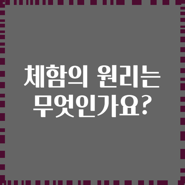 체함의 원리는 무엇인가요?
