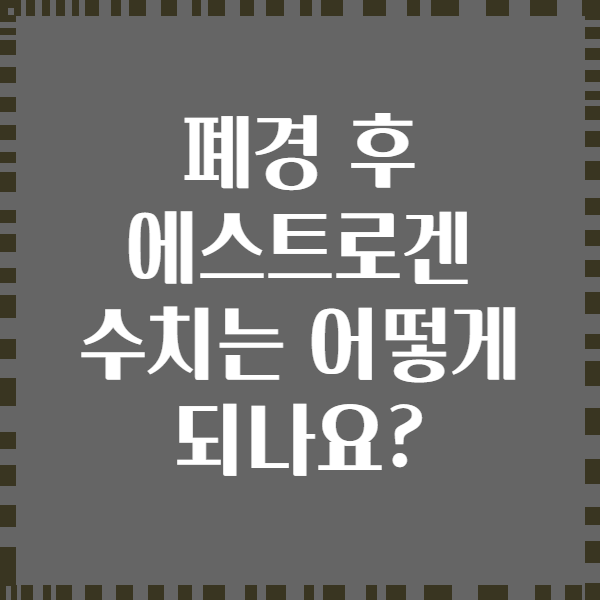 폐경 후 에스트로겐 수치는 어떻게 되나요?