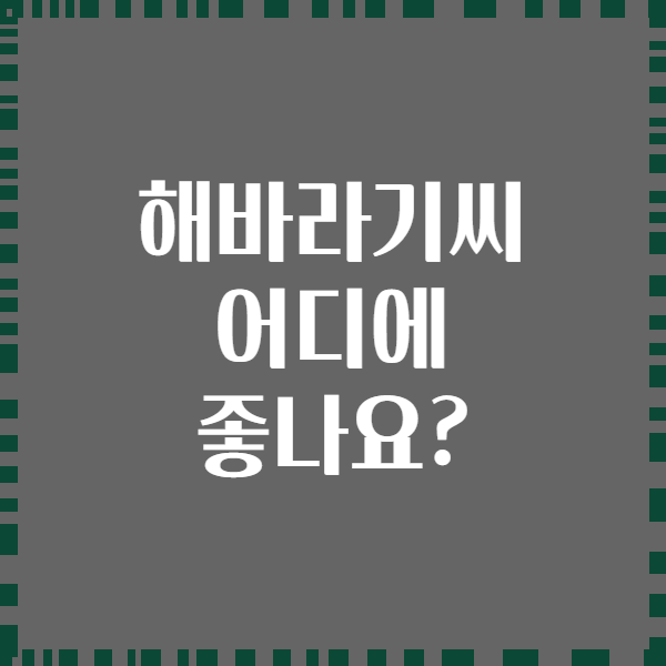 해바라기씨 어디에 좋나요?