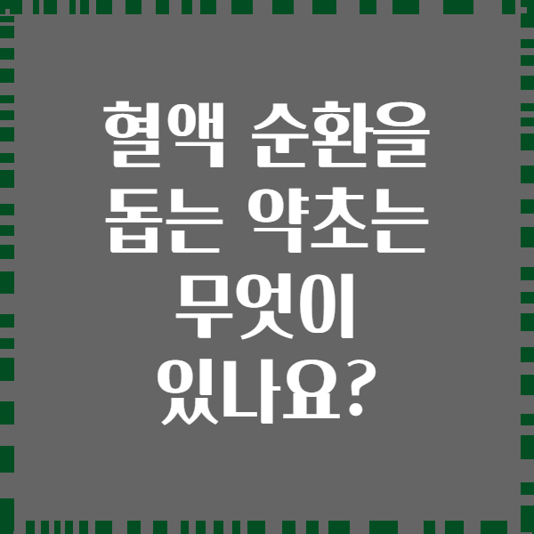 혈액 순환을 돕는 약초는 무엇이 있나요?