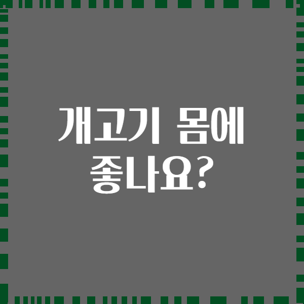 개고기 몸에 좋나요?