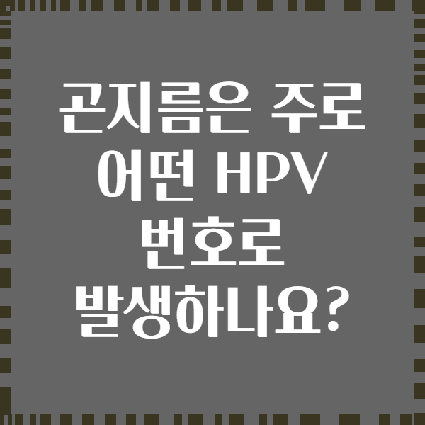 곤지름은 주로 어떤 HPV 번호로 발생하나요?
