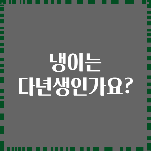 냉이는 다년생인가요?