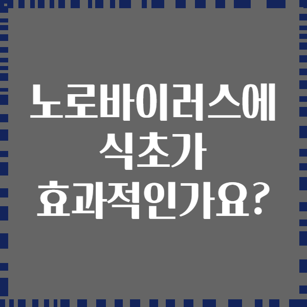노로바이러스에 식초가 효과적인가요?