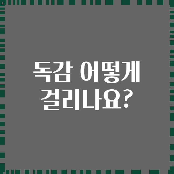 독감 어떻게 걸리나요?