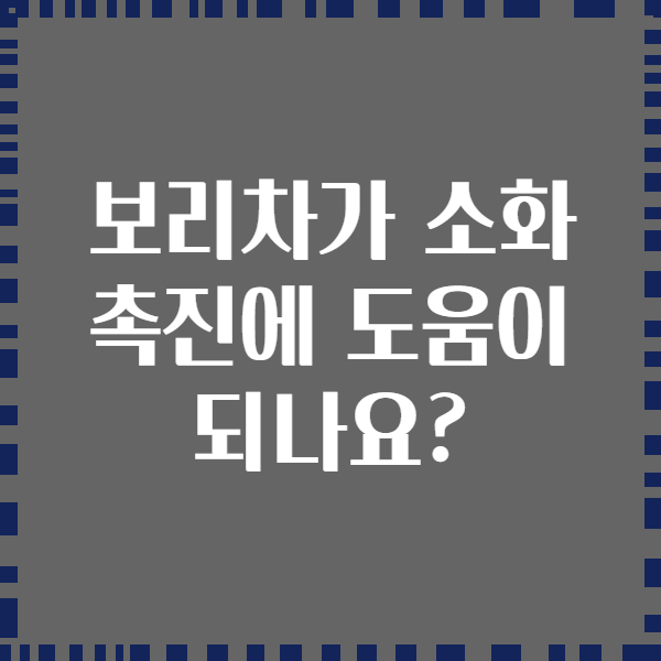 보리차가 소화 촉진에 도움이 되나요?