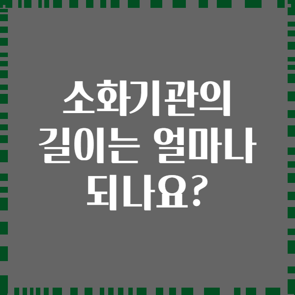 소화기관의 길이는 얼마나 되나요?