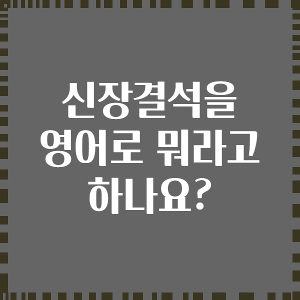 신장결석을 영어로 뭐라고 하나요?