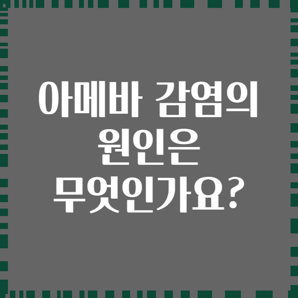 아메바 감염의 원인은 무엇인가요?