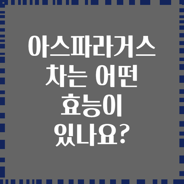 아스파라거스 차는 어떤 효능이 있나요?