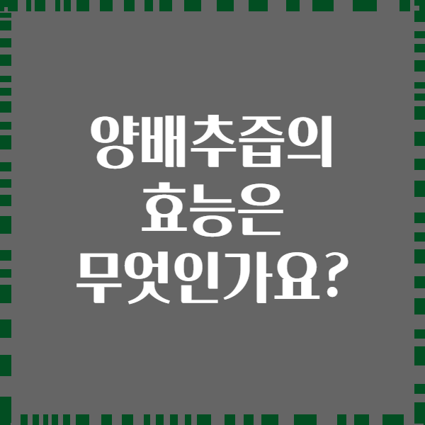 양배추즙의 효능은 무엇인가요?