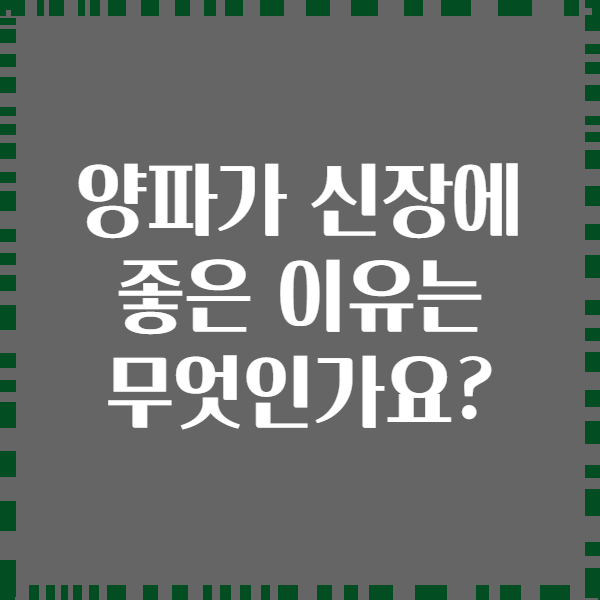 양파가 신장에 좋은 이유는 무엇인가요?